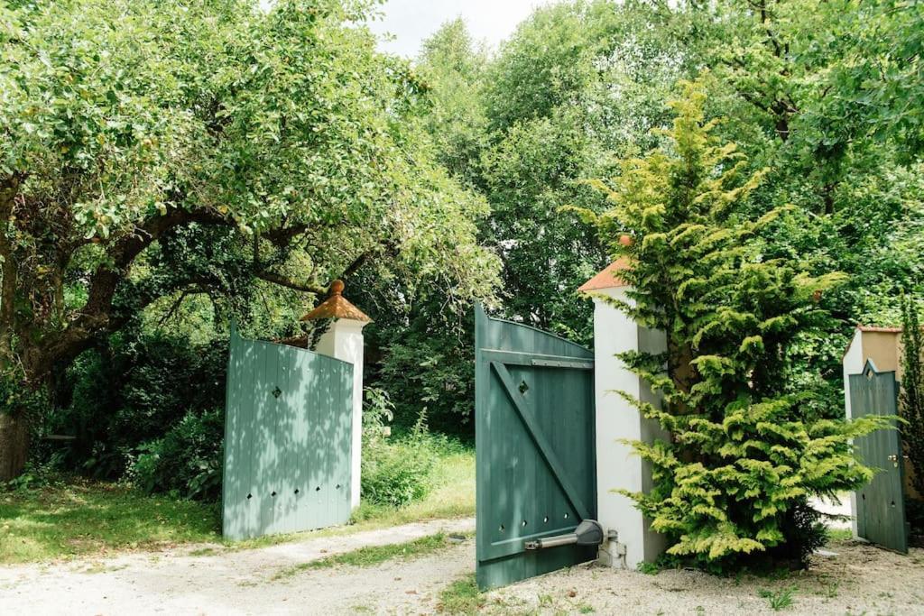 Ferienwohnung In Der Villa Sana Mit Grossem Garten Rofingen Eksteriør bilde